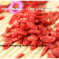 Ningxia High Quality Wolfberry with Good Price